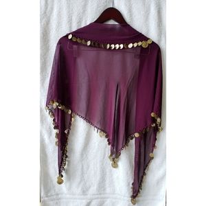 Purple and Gold Belly Dance Hip Scarf
